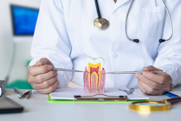 Best Emergency Broken Tooth Repair in Mystic Island, NJ